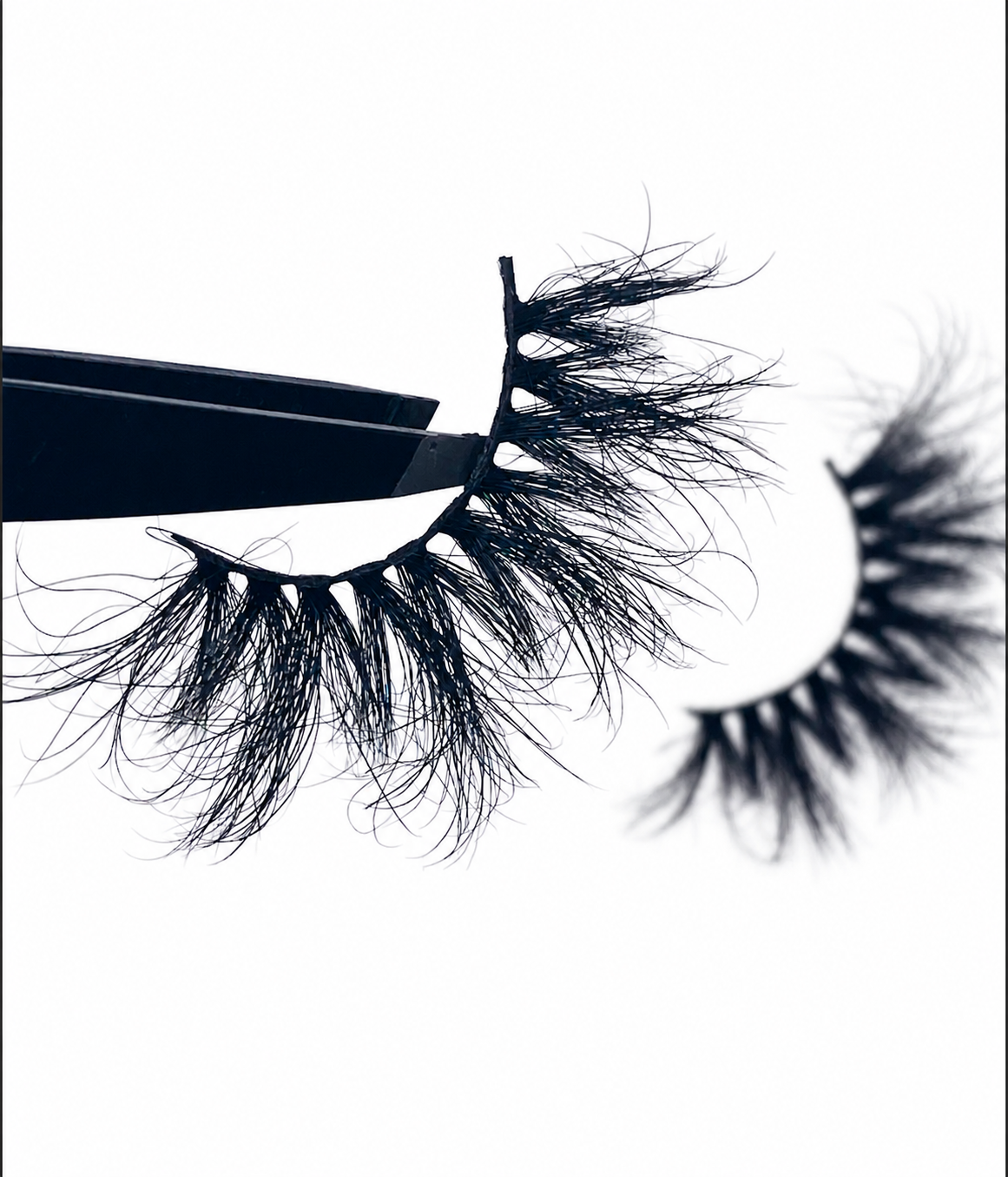 Statement Lash Collection